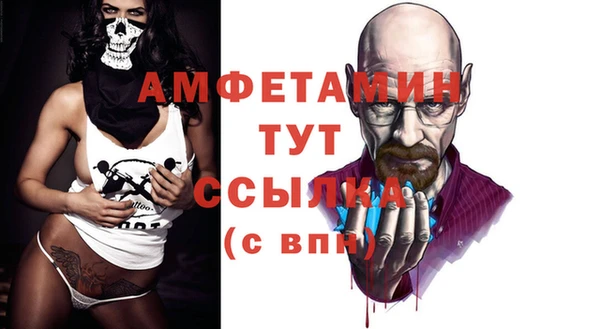 хмурый Алексин