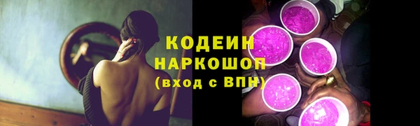 хмурый Алексин