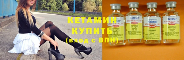шишки Новодвинск