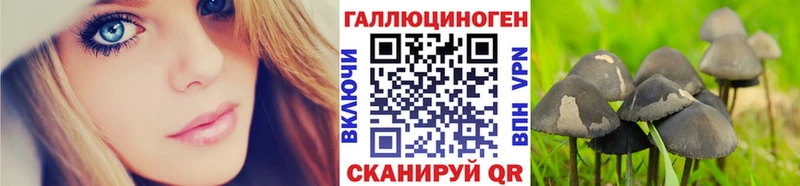 где купить наркотик  Алдан  Галлюциногенные грибы мицелий 